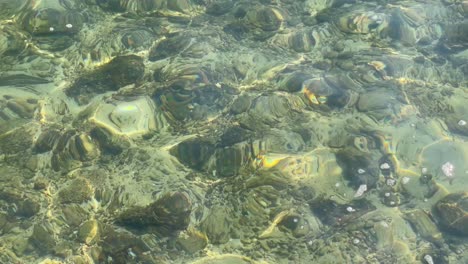 agua de mar cristalina con arrecife de coral.. piedras de coral y rocas bajo la superficie del agua. mar o océano en la playa.