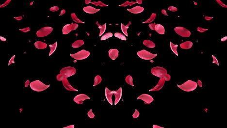 Rose-Petals-floating-and-Falling-animation-with-alpha-channel