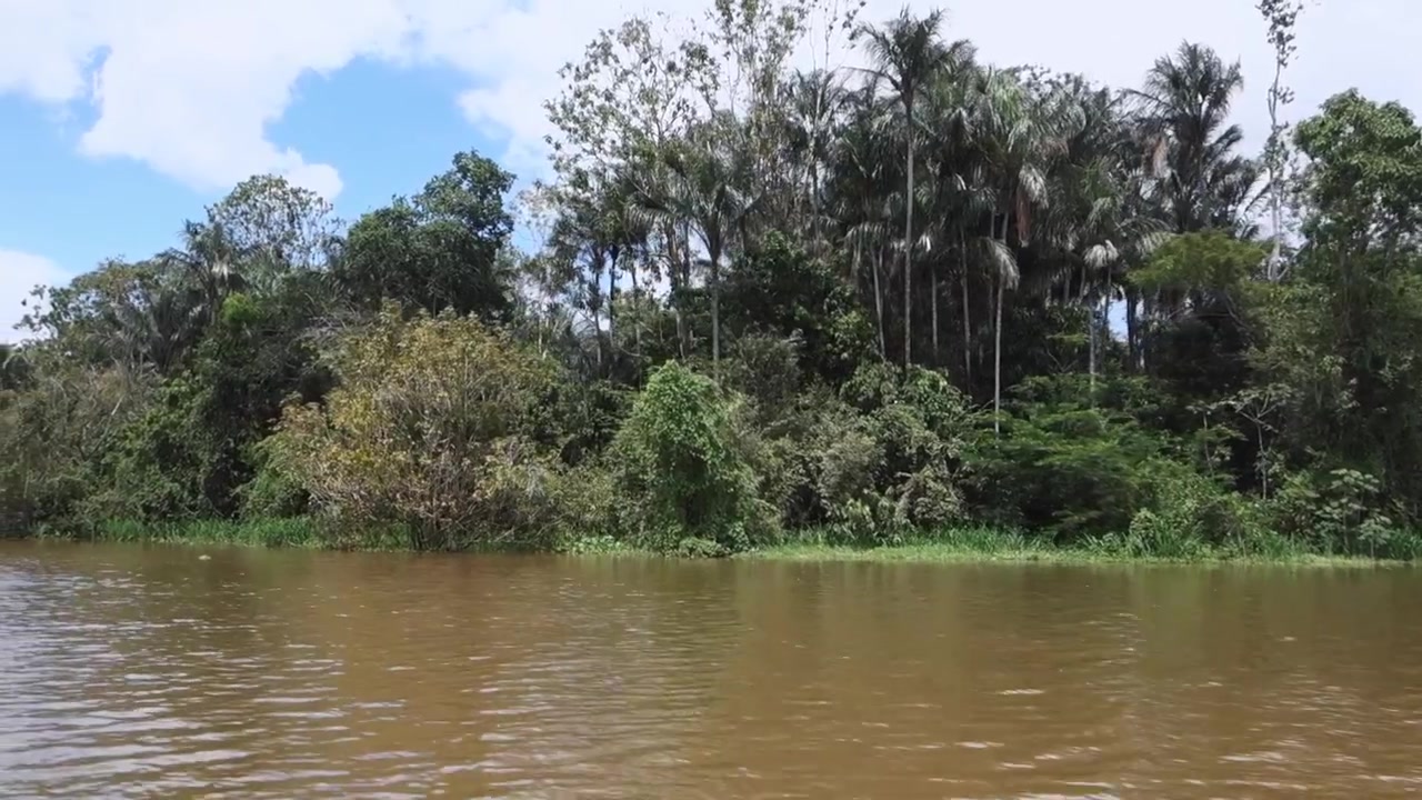 Margens de rios indígenas na floresta amazônica inundada no Brasil