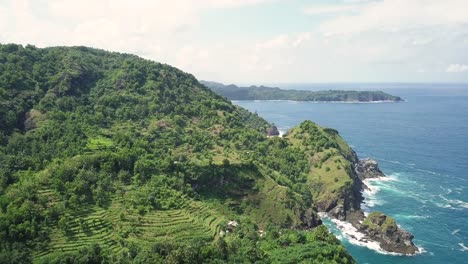 aerial view over a mountain with agricultural terraces near the shoreline of a rocky coast in indonesia