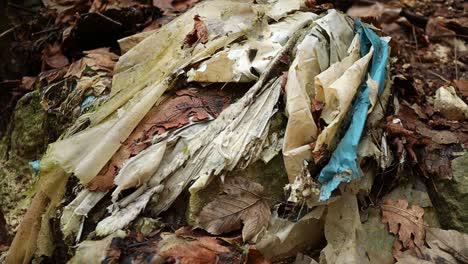 old plastic fabrics among the leaves in the forest, close up shot