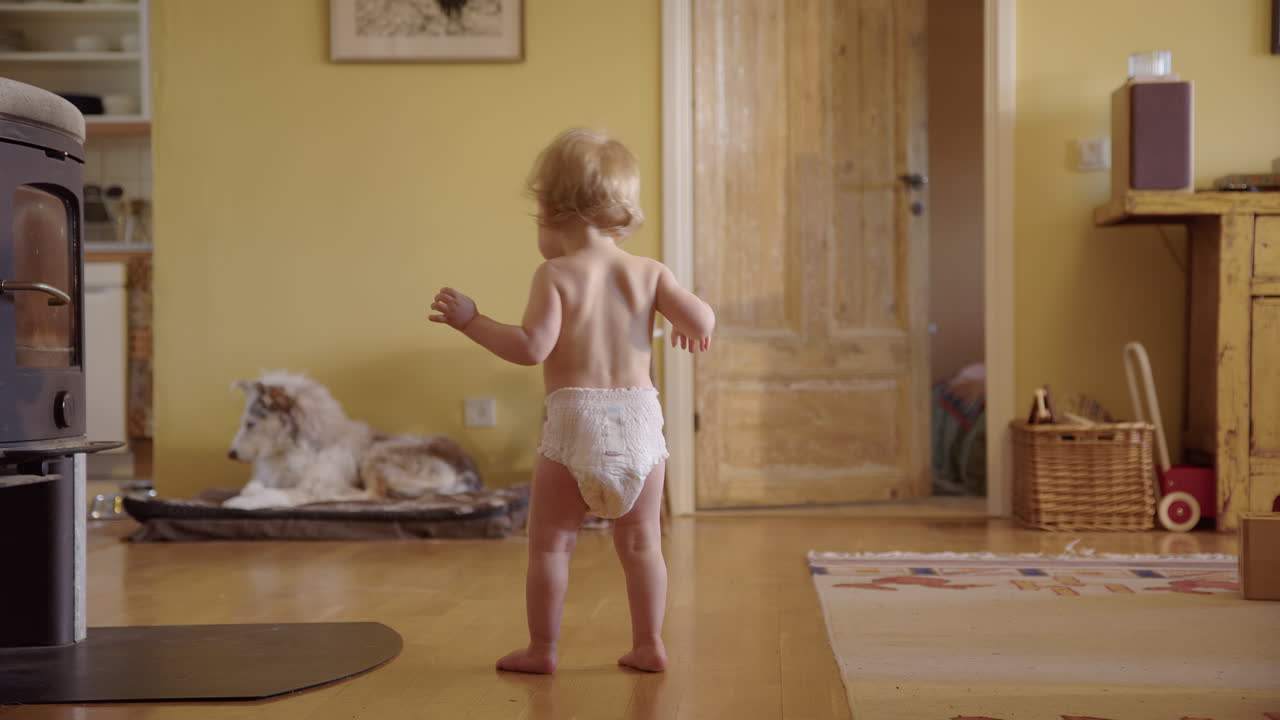 Classic cute shot of a newly walking nappy clad toddler in a cosy house