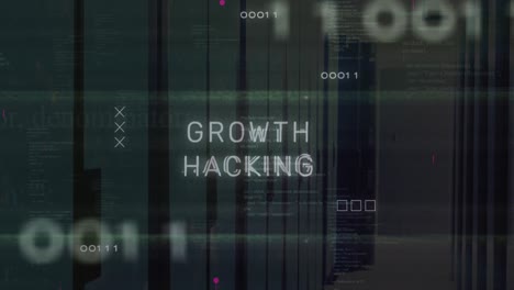 Animation-of-growth-hacking-text-and-binary-codes-over-computer-language-on-server-room