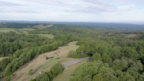 Antenne-über-Grüne-Australische-Hügel-Und-Landschaft,-Lavers-Hill