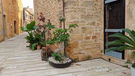 these are the streets of the town of alcudia