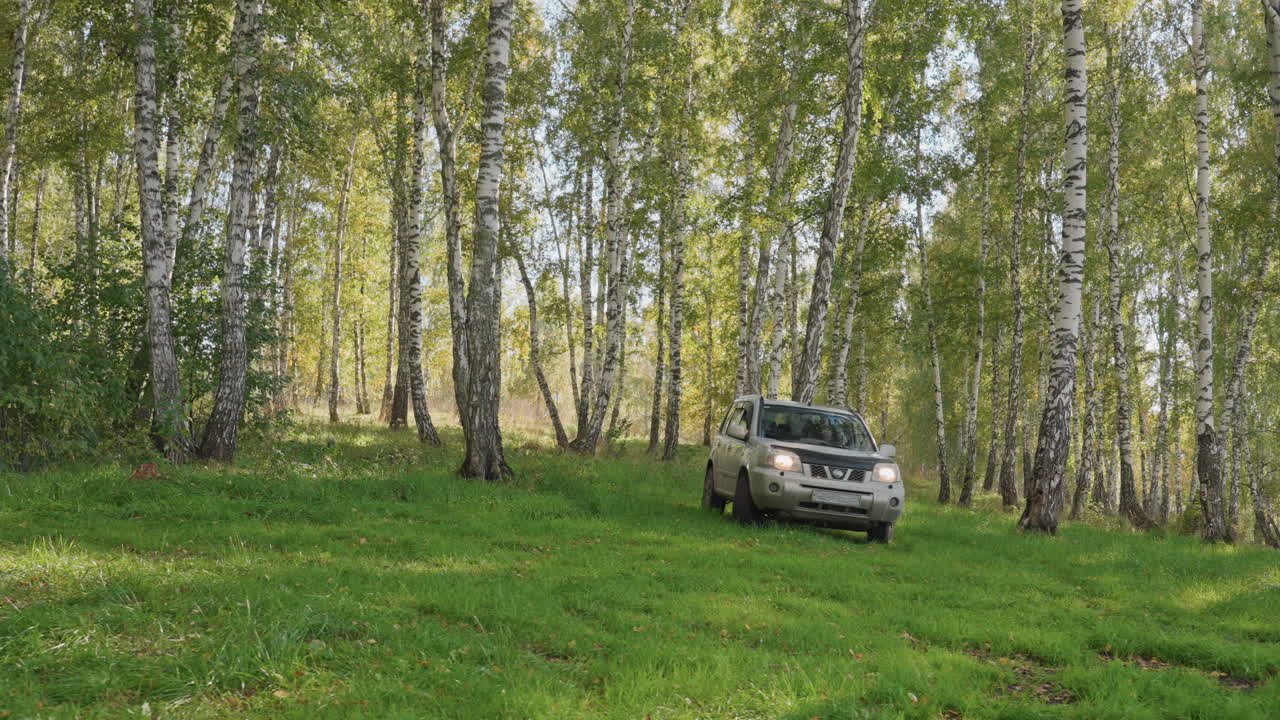 Un veicolo percorre una strada forestale verso il campeggio. Un'automobile si muove lungo un sentiero forestale tra polvere e raggi di sole. Il veicolo manovra attraverso un boschetto di betulle lungo un sentiero erboso verso l'area campeggio