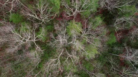 aerial drone video video footage rising above the beautiful appalachian mountains