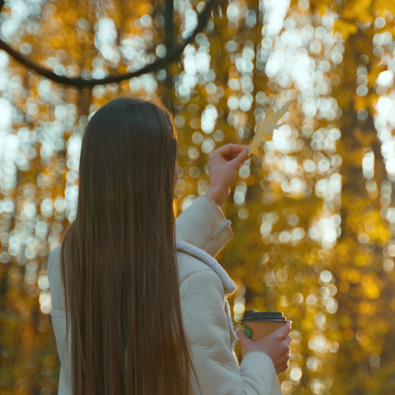 Long-haired brunette standing her back to camera against sun. Lady holding a paper cup in one hand and maple leaf in another. Autumn park backdrop in blur
