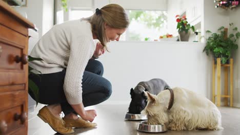 mujer caucásica alimentando a sus perros en la sala de estar en casa