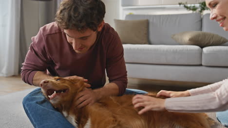 young family stroking dog lying carpet at weekend close up. man caressing pet