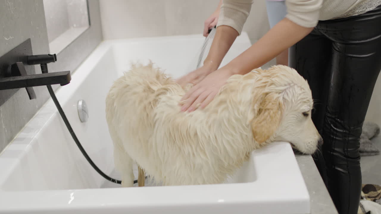 un cachorro de golden retriever tomando un baño