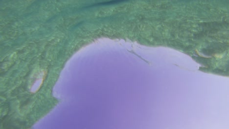 underwater texture loop looking up