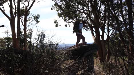 Un-Hombre-Con-Un-Sombrero-Akubra-Y-Un-Paquete-Sube-A-Una-Rama-De-árbol-Rota-En-El-País-Alto-De-Australia