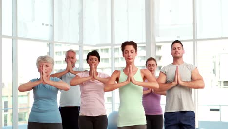 yoga class doing tree pose together