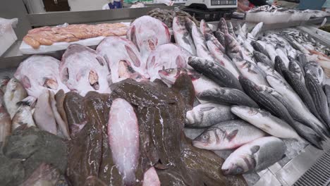 different types of fresh fish and seafood displayed on ice in a fish shop fishmonger at a local market