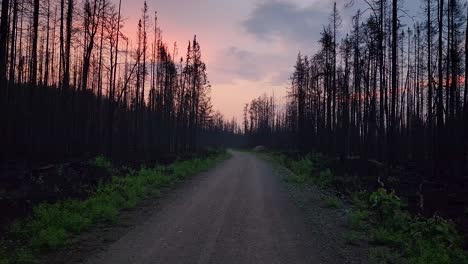 Fahrt-Auf-Einer-Verlassenen-Straße-Nach-Einem-Waldbrand-In-Kirkland-Lake,-Kanada