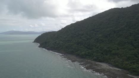 daintree rainforest near cape tribulation in queensland, australia