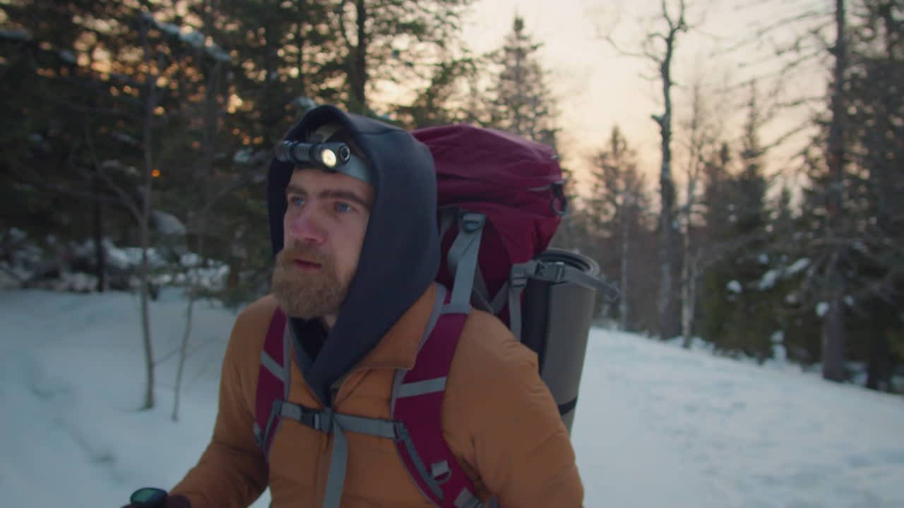 Bearded Hiker Walking through Woods in Evening