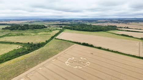 aerial rotating shot of mysterious mandala shaped crop circle on wheat farm, england