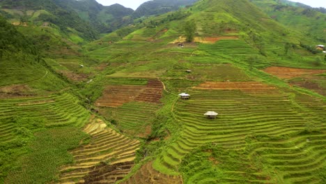 enorme valle exuberante repleto de terrazas de arroz en el norte de vietnam