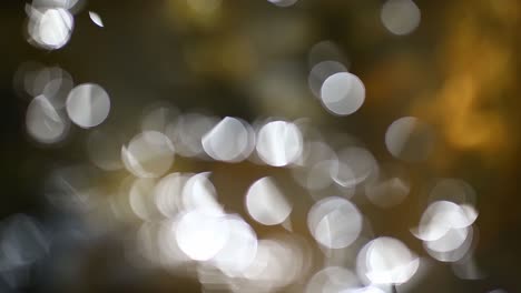 abstract blur with blinking bokeh lights background