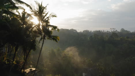 Eine-Reisende-Frau-Schwingt-Sich-Bei-Sonnenaufgang-über-Den-Dschungel-Und-Genießt-Einen-Exotischen-Urlaub-Auf-Einer-Schaukel-Sitzend,-Während-Die-Sonne-Durch-Palmen-Im-Tropischen-Regenwald-Scheint.-Urlaubs-Lifestyle-Freiheit