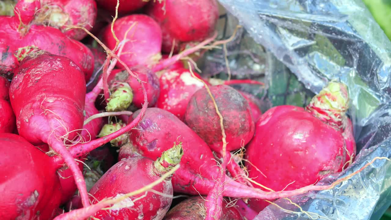Fresh radishes