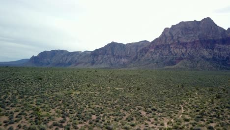 Aerial-of-grasslands,-desert-and-cactus-in-the-foreground-as-camera-pushes-toward-the-mountains-at-Red-Rock-Canyon-in-Nevada