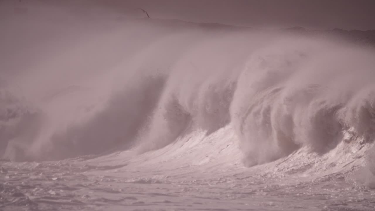 큰 파도가 바다표범과 함께 부러지고, 폭풍우가 불고 있는 바다