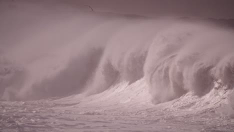 Big-Wave-Breaking-with-seaguls,-stormy-ocean