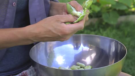 pelar guisantes en un cuenco del jardín metrajes