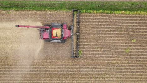 combine harvester harvesting crops from a farm field, aerial top down