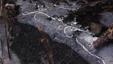 bloc de glace dans une rivière