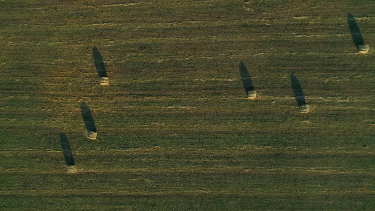여름에 해가 지는 동안 농장 의 어리 들, 러리 들