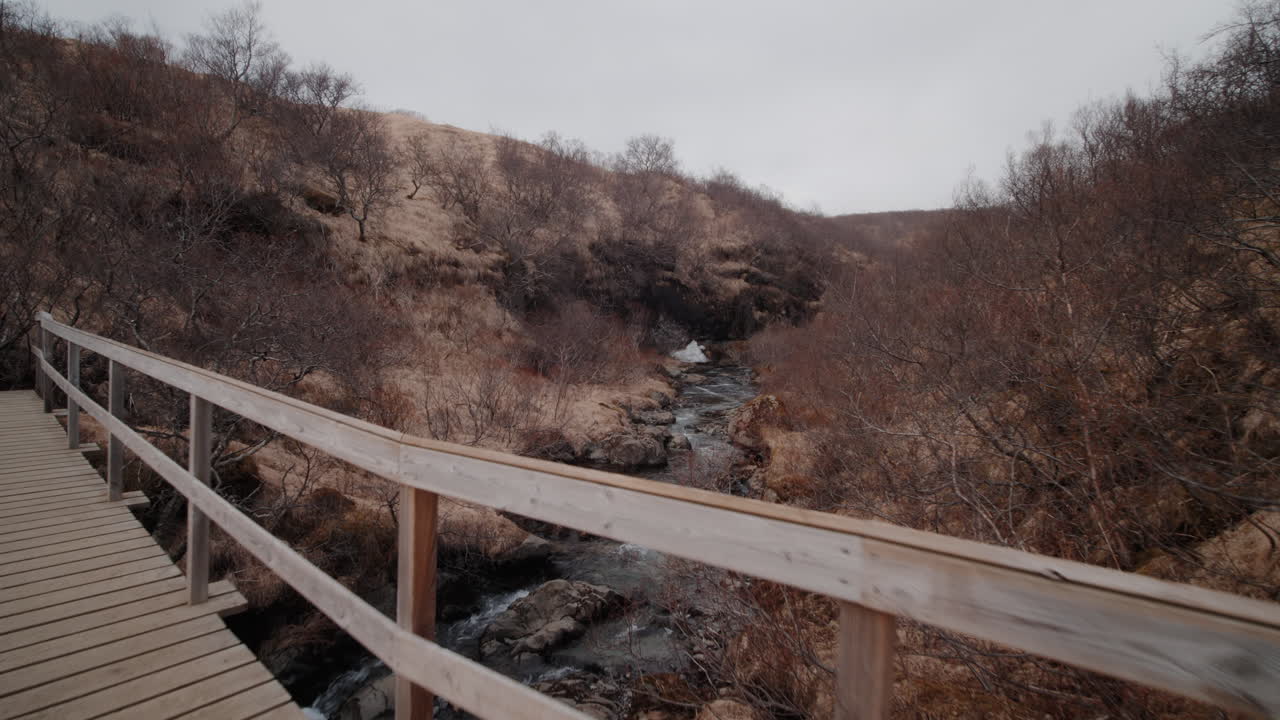 Wooden Bridge Over a Stream in a Winter Forest