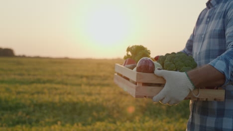 un agricultor lleva una caja de verduras frescas de su campo 3