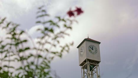 Toma-De-Abajo-Hacia-Arriba-De-Una-Flor-Ondeando-Frente-A-La-Torre-Del-Reloj-Contra-El-Cielo-Nublado-En-Monte-Cristi,-República-Dominicana