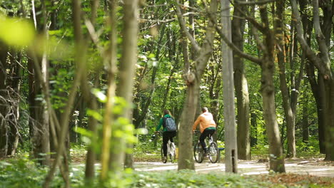 Couple In Love Ride Bicycles. Happy funny young couple riding on bicycle in nature