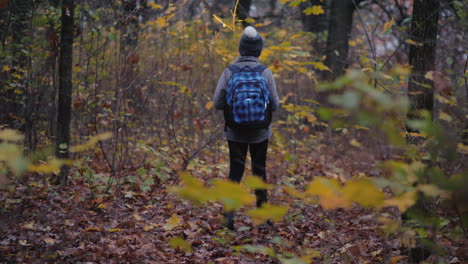 Ein-Kleines-Mädchen-Geht-Mit-Einer-Taschenlampe-In-Der-Hand-Durch-Einen-Dunklen-Wald-Und-Verirrt-Sich-Im-Wald