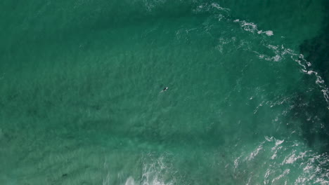 Surfer-catches-wave-in-crystal-clear-ocean-with-sandy-bottom