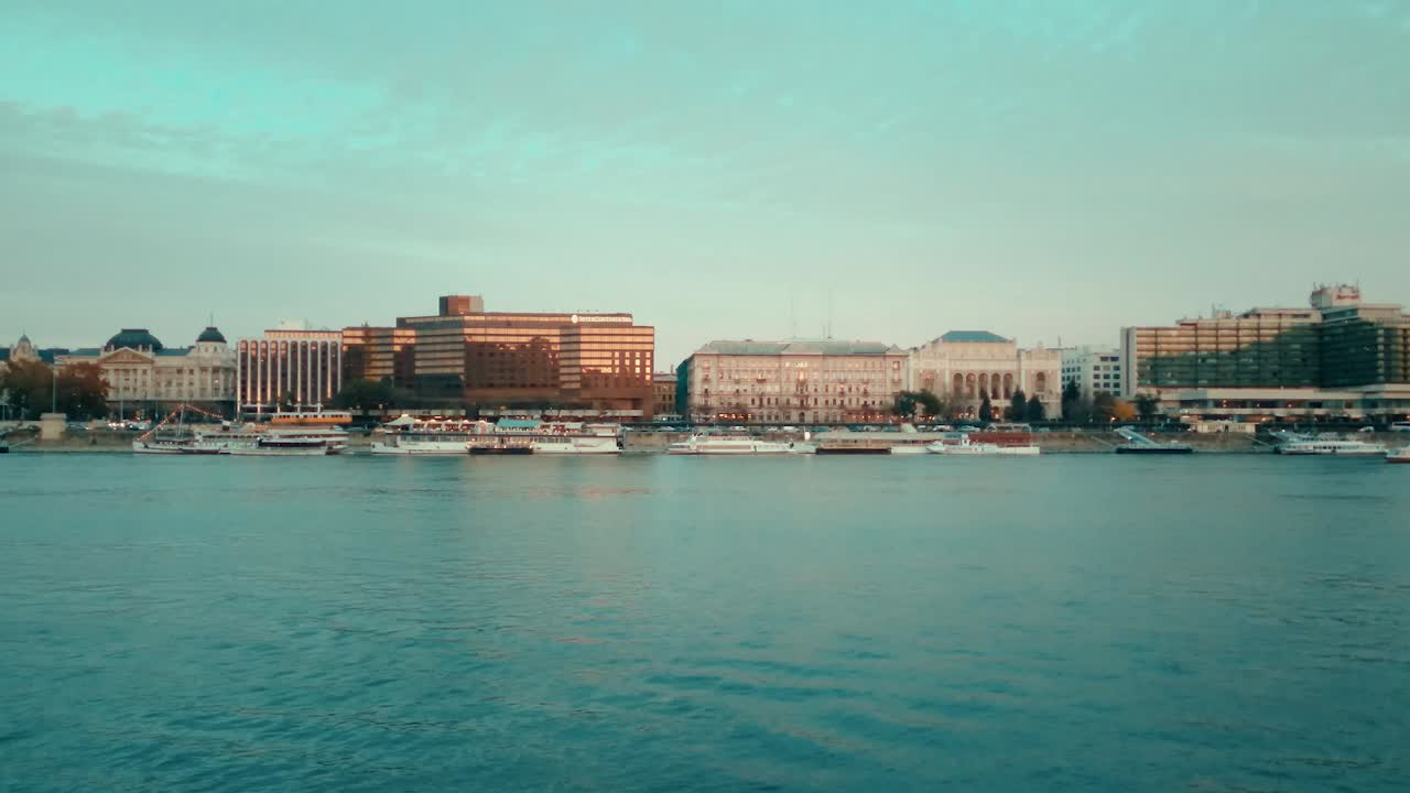 해충의 해안에서 다른 짧은 클립