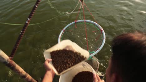 granjero asiático alimentando a los peces en la industria agrícola