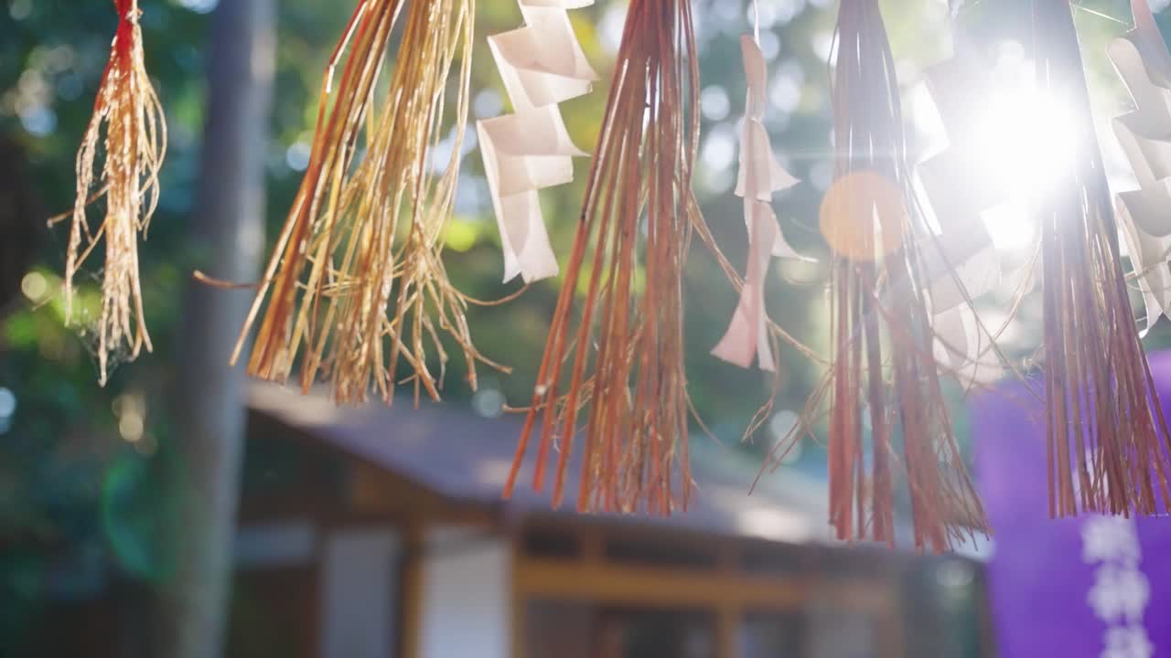 rayos de luz a través de la sagrada puerta japonesa torii, shinmei jinja 4k