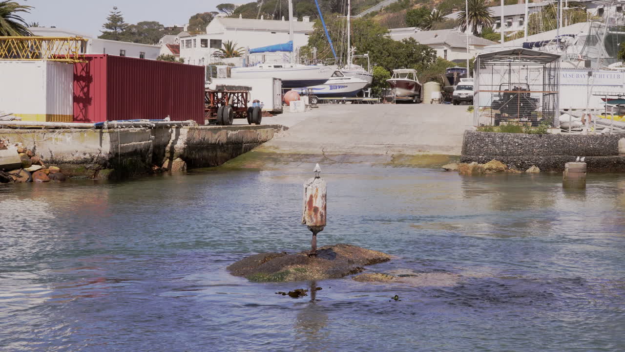 갈매기는 남아프리카 시몬스 타운 하버의 부표에 행복하게 앉아 있습니다.