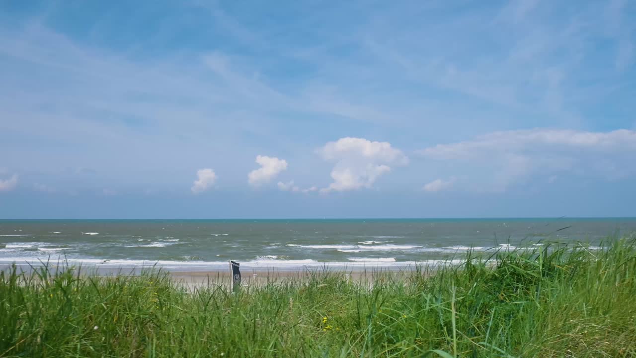Coastal Landscape with Grassy Dunes and Ocean View