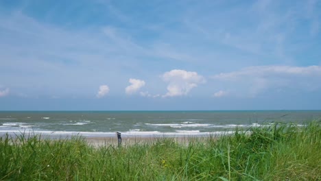 coastal landscape with dunes and ocean view