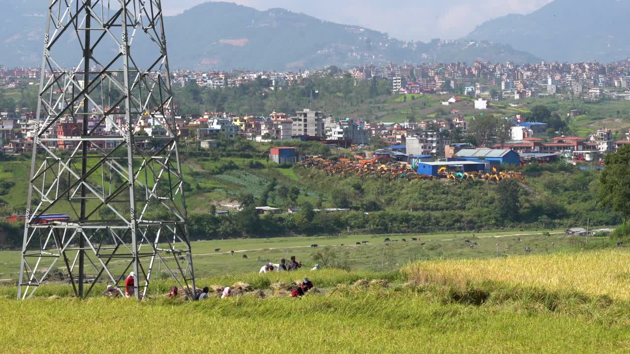 Ihmisiä korjaamassa riisiä pellolla Nepalissa, taustallaan Kathmandun kaupunki.