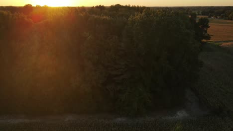 Drone-shot-looking-down-on-a-corn-field