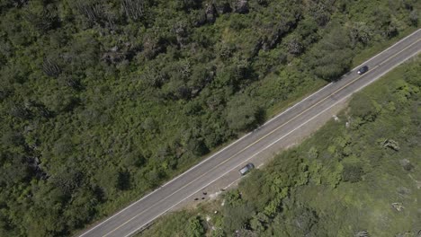 Road-in-rural-part-of-Mexico,-cars-passing,-Top-down-aerial-view,-dense-forest