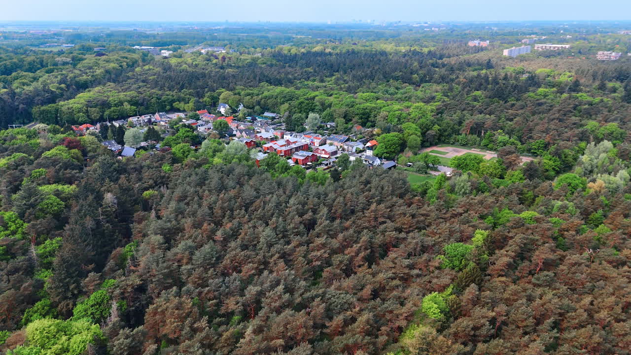 Dutch village and nature scene. A quaint Dutch village is embraced by lush green forests on a sunny day, embodying nature's tranquility